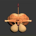 Cartoon Giraffe Game Movie Character With Orange Spots Exaggerated Proportions Pink Hooves Standing Pose