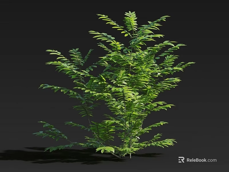 Vibrant Green Leafy Plant with Lush Foliage Growing against Black Background 3d model 