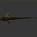 Yellowish Green And Black Fish With Orange Fins Sleek Body And Long Tail