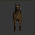 Brown Horse with Gray Mane Standing on Shiny Gray Background