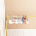 Colorful Plastic Hangers on Golden Hanger Rod with Simple Design for Closet Organization