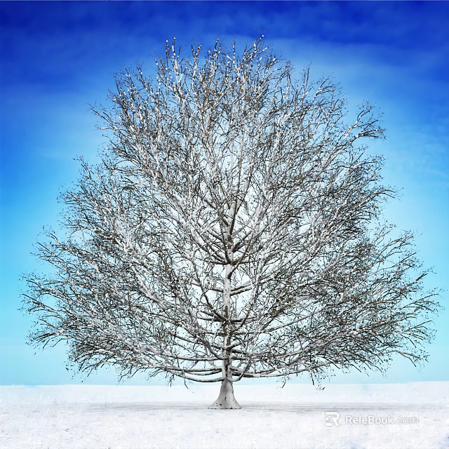 Snow Covered Deciduous Arbor With Bare Branches Against Blue Sky 3d model 