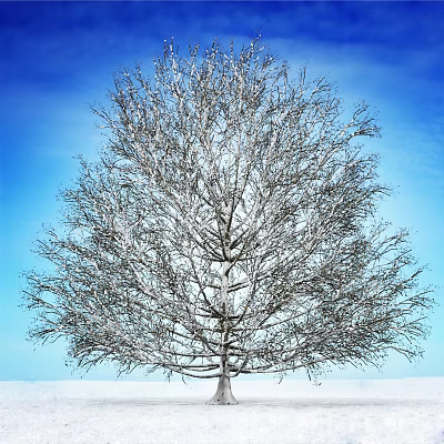 Modern Tree Snow Dead Tree 3d model Modern Tree Snow Dead Tree 3d model
