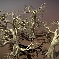 Leafless Withered Trees With Thick Trunks And Twisted Branches Against Gray Background