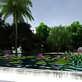 Tranquil Garden Landscape With Pond Water Lilies Palm Willow Trees Green Plants Rocks