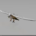 Snowy Owl With Spread White Wings Brown Body Yellow Eyes And Talons On Reflective Surface