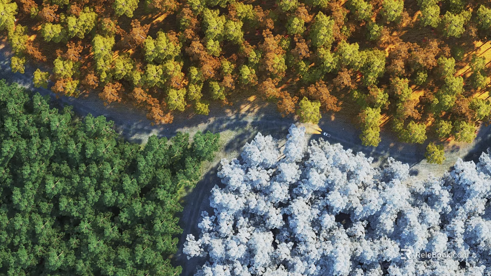 Aerial View of Park Landscape With Dark Green Trees Snowy Trees and Winding Path 3d model 