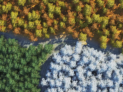 Aerial View of Park Landscape With Dark Green Trees Snowy Trees and Winding Path 3d model