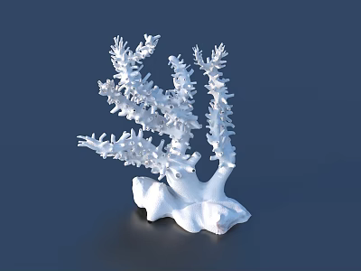 Handcrafted White Coral Sculpture with Intricate Branch Details and Design 3d model