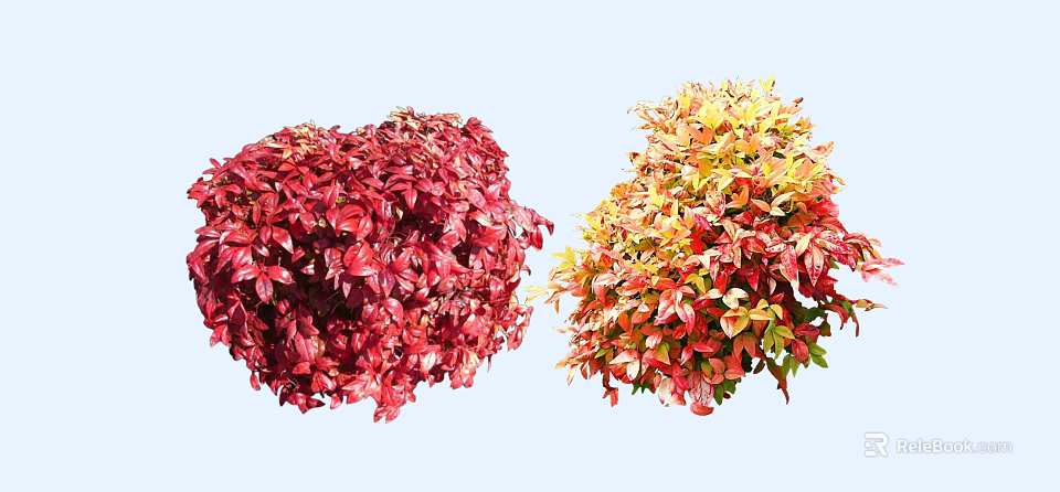 Vibrant Red and Yellow Leafy Shrubs with Lush Colorful Garden Foliage 3d model 