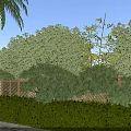 Rural Landscape with Palm Tree Lush Trees Wooden Fence and Green Hedge Under Blue Sky