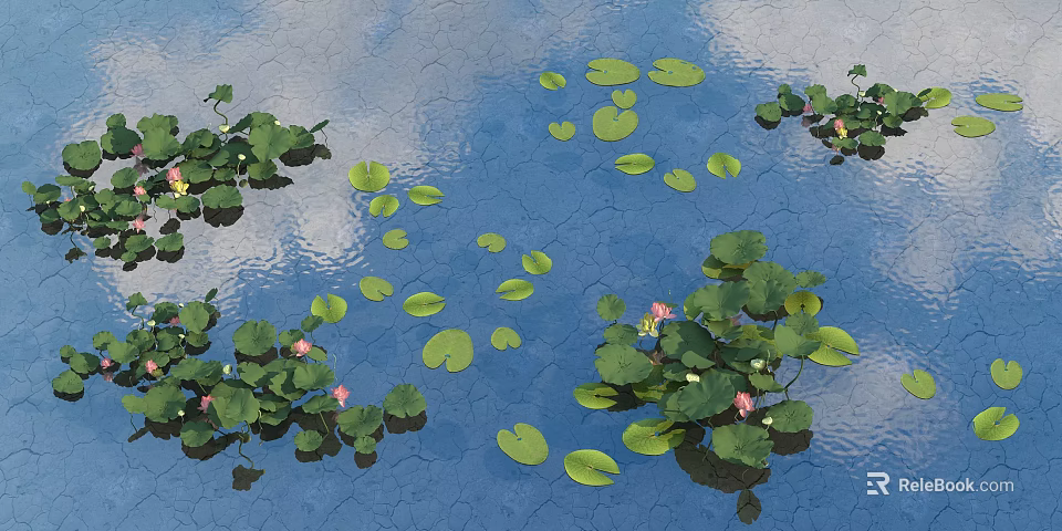 Beautiful Water Lilies and Lily Pads with Pink Flowers on Calm Water Surface 3d model 