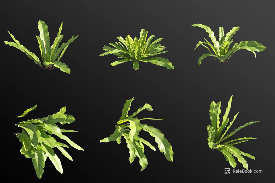 Botanical Green Leafy Plant Specimens With Natural Foliage And Various Growth Shapes 3d model 