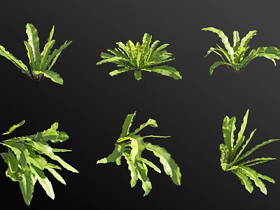 Botanical Green Leafy Plant Specimens With Natural Foliage And Various Growth Shapes 3d model