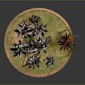 Decorative Tree With Dinosaur Models On Circular Base With Green Grass And Red Flowers