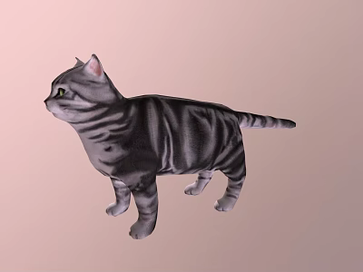 Gray Striped Cat Standing On Light Pink Background With Realistic Features 3d model
