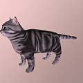 Gray Striped Cat Standing On Light Pink Background With Realistic Features 3d model
