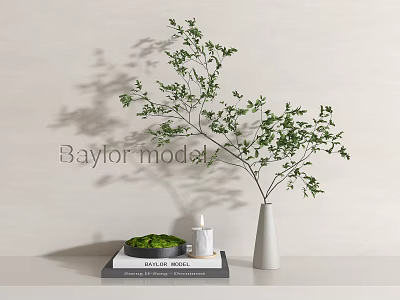 Decorative Ornament Set With White Vase Green Branches Small Candle Black Tray And Book 3d model