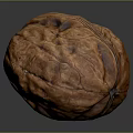 Close Up Of Single Whole Brown Walnut With Textured Surface On Gray Background