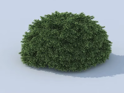 Lush Green Round Bush With Dense Foliage For Garden Landscaping 3d model