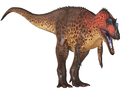 Fierce Large Carnivorous Dinosaur With Red Brown Spotted Skin And Open Mouth 3d model