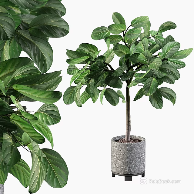 Elegant Garden Ornaments with Potted Large Leaf Green Plants in Gray Pots 3d model 