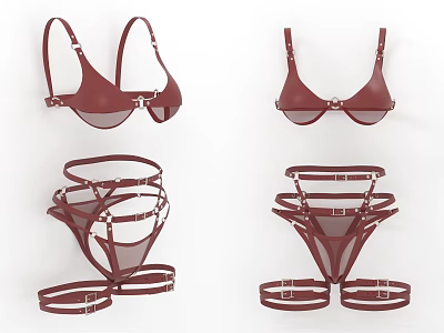 Burgundy Sheer Mesh Lingerie Set With Bralette And High Cut Panties Adjustable Straps Metal Hardware 3d model