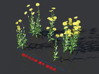 Flipped Leaf Sunflower Shrub Featuring Bright Yellow Flowers And Lush Green Leaves 3d model