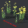 Flipped Leaf Sunflower Shrub Featuring Bright Yellow Flowers And Lush Green Leaves