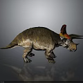 Triceratops Dinosaur Model With Red Yellow Frill And Detailed Textured Skin On Gray Background