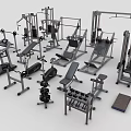 Diverse Sports Equipment Collection Featuring Weight Machines Dumbbells Treadmills And Exercise Benches