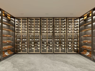 Modern Wine Cellar With Glass Door Racks And Wooden Shelves 3d model