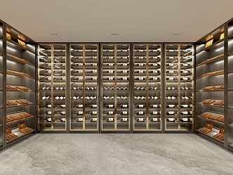 Constant temperature wine cellar cigar cabinet 3d model