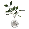Modern Decorative Ornament Set With Transparent Glass Vase Containing Green Leaf Plant And Water