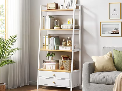 Modern Cozy Living Room Multilayer White and Wood Storage Shelf Organizing Books Decorations and Plants 3d model