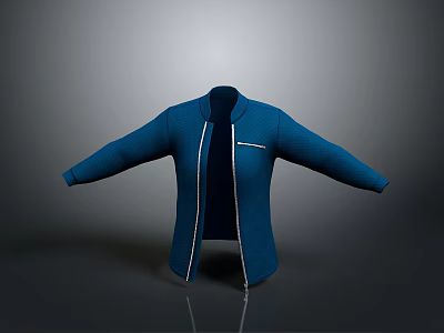 Modern Casual Blue Jacket With Long Sleeves Zipper Closure And Front Pocket Design 3d model