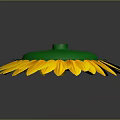 Vibrant Sunflower with Yellow Petals Orange Center and Green on Gray Background with Reflection