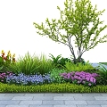 Flowers and plants shrubs flower glasses plant piles landscape trees ground cover plants canna 3d model