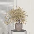 Dried Flowers Arrangement In Ceramic Vase On White Round Table With White Blinds Background