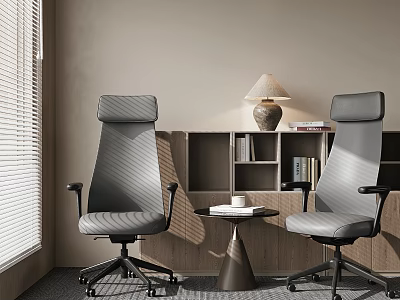 Modern Office Chairs In Stylish Workspace With Bookshelf Table Lamp And Round Table 3d model