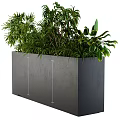 Bonsai Potted Plants In Gray Concrete Rectangular Container With Lush Green Foliage 3d model