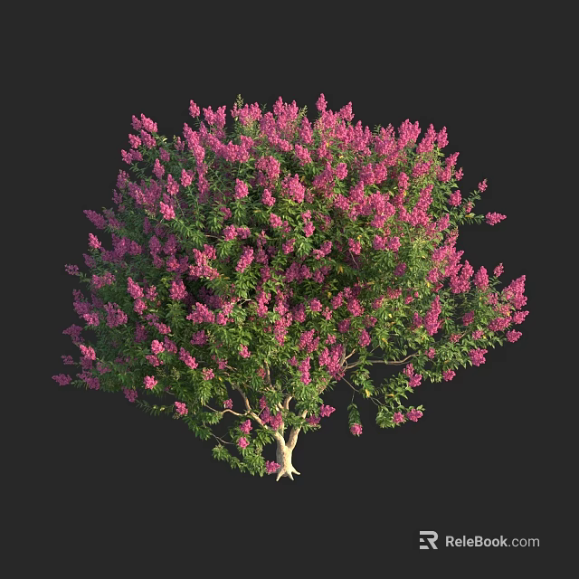 Vibrant Pink Flowering Shrub With Lush Green Foliage And Abundant Blooms 3d model 