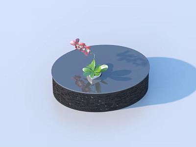 Round Black Coffee Table with Glossy Surface and Pink Orchid in Green Pot 3d model