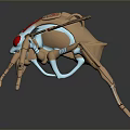 Alien Insects Sci-Fi Insects Magic Insects Strange Insects Fantasy Insects Insect Characters Game Characters 3d model