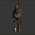 Brown Horse Wearing Reins With White Legs And Yellow Hooves In 3D Rendering