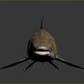 Realistic Copper Shark 3D Model on Gray Background with Reflection 3d model