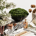 Elegant Decorative Ornament Set With Green Moss Ball Stacked Books Dried Flowers And Ceramic Vase