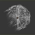 Dandelion Seed Puff Structure Featuring White Fluffy Pappus And Brown Seeds