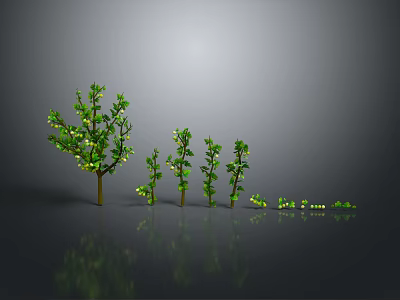 Cartoon Scene With Various Sizes of Green Trees and Glowing Elements on Reflective Surface 3d model
