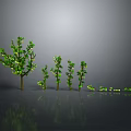 Cartoon Scene With Various Sizes of Green Trees and Glowing Elements on Reflective Surface